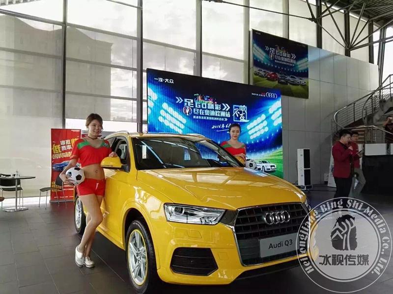 奥迪激情欧洲杯